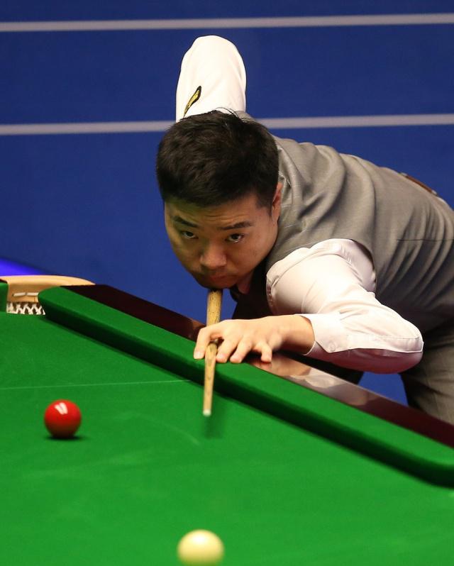 球迷和专家 球迷和专家